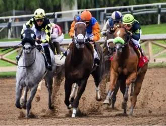 必勝！競馬道２（1年版）