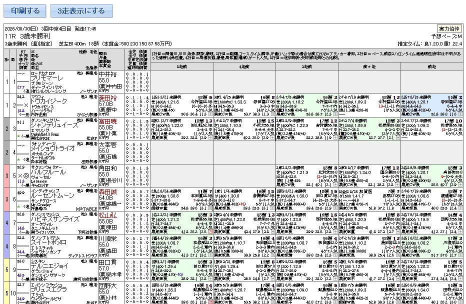必勝！競馬道２（1年版）出馬表の印刷画面